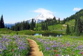 May Hikes: 3 to 5.5 miles, 300 to 1,250 feet gain - Naches Peak Loop
