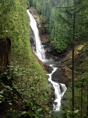 June Hikes: 3.5 to 6 miles, 400 to 1,500 feet gain - Wallace Falls