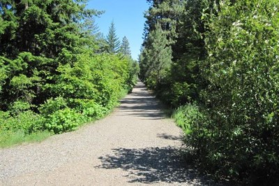 July Hikes: 3.75 to 6.5 miles, 500 to 1,750 feet gain - Coal Mines Trail