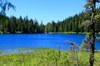 July Hikes: 3.75 to 6.5 miles, 500 to 1,750 feet gain - Talapus & Olallie Lakes