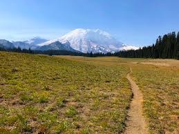 August Hikes: 4 miles to 7 miles, 600 to 2,000 feet gain - Grand Park (Mount Rainier)