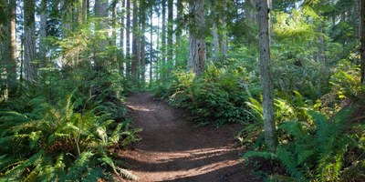 March GoHike  Pacing Hikes: 2 to 4 miles, 0 to 750 feet of elevation gain - Paradise Valley Conservation Area