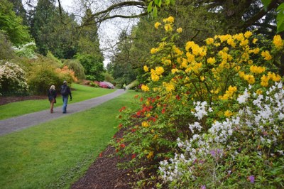 July GoHike Urban Walk: 3.75 to 6.5 miles, 500 to 1,750 feet gain (optional) - Washington Park Arboretum