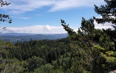 July Hikes: 3.75 to 6.5 miles, 500 to 1,750 feet gain - Chuckanut Ridge