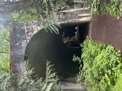 July Hikes: 3.75 to 6.5 miles, 500 to 1,750 feet gain - Iron Goat Trail