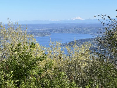 June Hikes: 3.5 to 6 miles, 400 to 1,500 feet gain - Big Tree Ridge