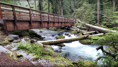 June Hikes: 3.5 to 6 miles, 400 to 1,500 feet gain - Lower Big Quilcene