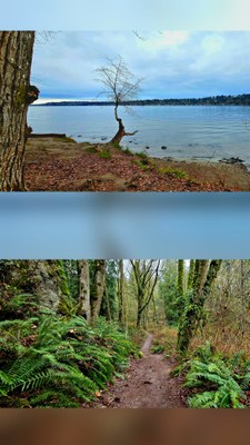 March GoHike  Pacing Hike: 2 to 4 miles, 0 to 750 feet of elevation gain - Saint Edward State Park