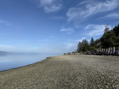 March GoHike  Pacing Hike: 2 to 4 miles, 0 to 750 feet of elevation gain - Sequalitchew Canyon & Dupont Bluff