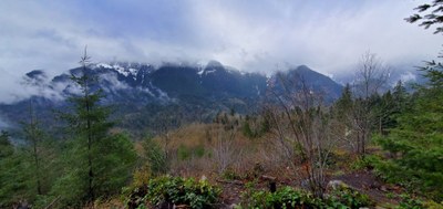 May Hikes: 3 to 5.5 miles, 300 to 1,250 feet gain - Heybrook Lookout & Ridge