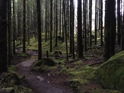 May Hikes: 3 to 5.5 miles, 300 to 1,250 feet gain - Pratt River Connector Trail