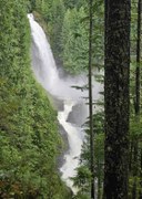 May Hikes: 3 to 5.5 miles, 300 to 1,250 feet gain - Wallace Falls