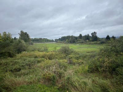 September GoHike Urban Walk: 4 to 8 miles, 750 to 2,000 feet gain (optional) - Green River Trail