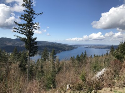 September Hikes: 4 to 8 miles, 750 to 2,000 feet gain - Chanterelle Trail