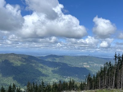 September Hikes: 4 to 8 miles, 750 to 2,000 feet gain - West Tiger Mountain No. 3