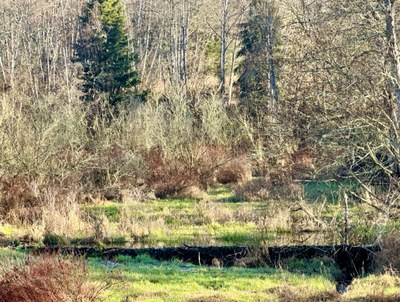 GoHike - Alumni Day Hike - Northern State Ghost Town