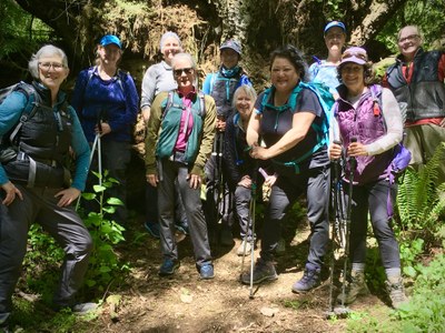 Mentored Hiking and Urban Walks Leader Course On-line Lecture - Online Classroom