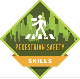 Urban Walk Leader: Pedestrian Safety Training Seminar - Online