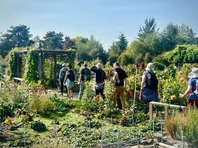 Mindful Mountaineers | Winter Solstice Relax & Restore Celebration: Sound Bath-Gentle Yoga-Urban Walk