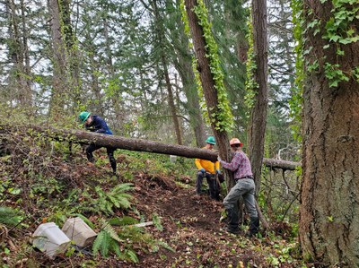 Stewardship Collaboration