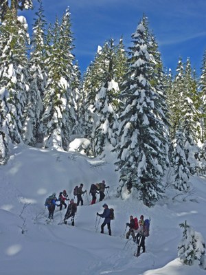 Basic Snowshoeing Course - Foothills - 2015