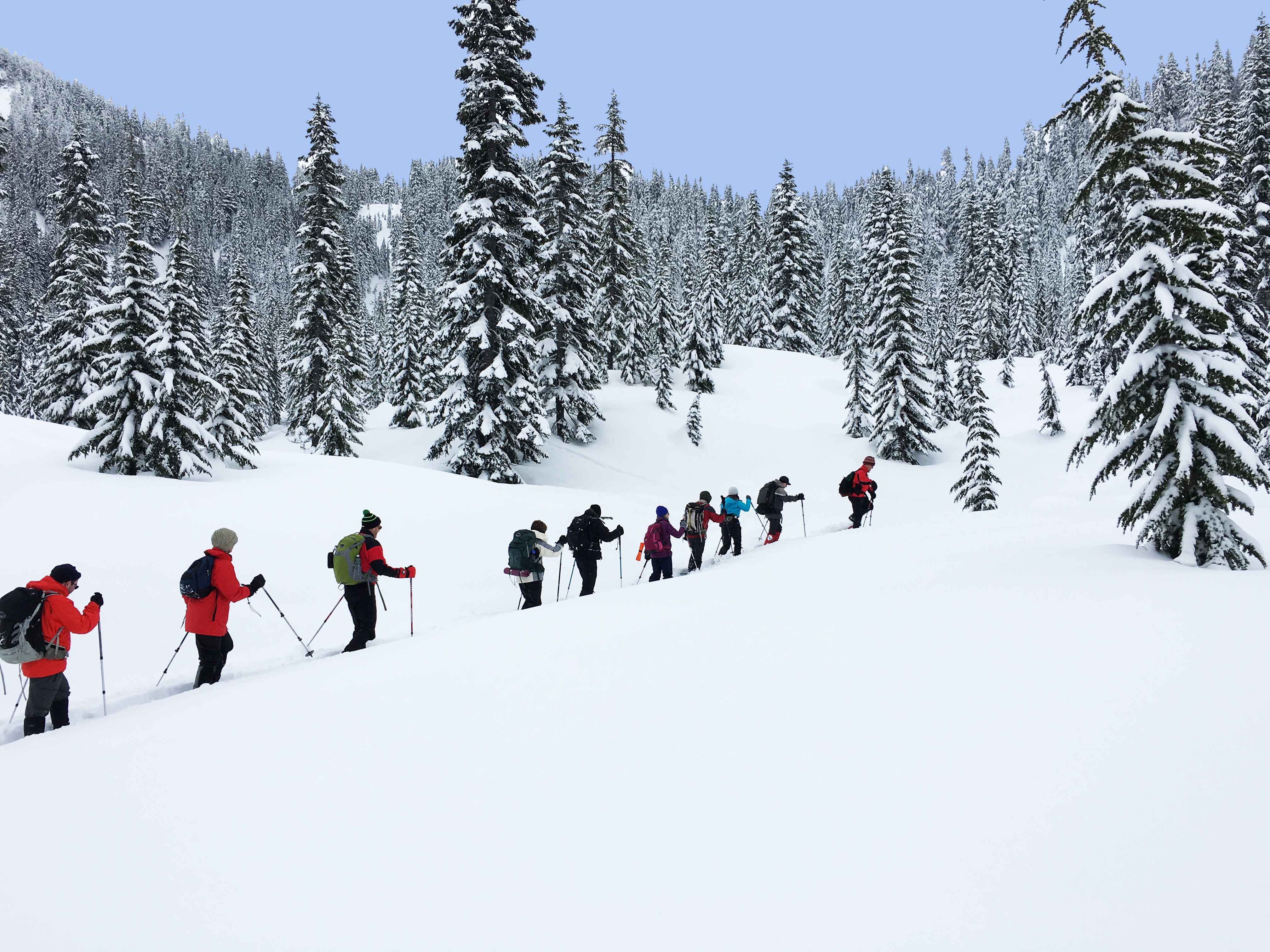 Basic Snowshoeing Course - Foothills - 2018 — The Mountaineers