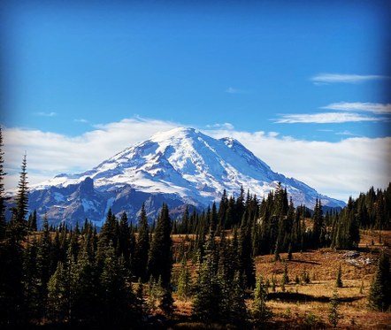 Foothills' Branch Annual Celebration 