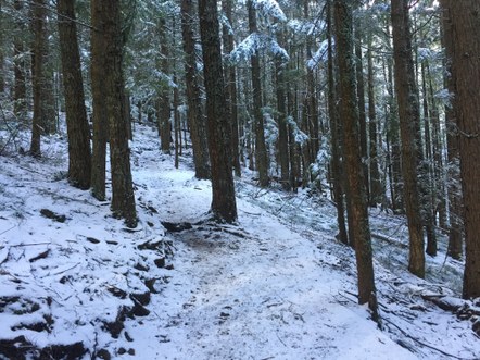 Introduction to Winter Trail Running 