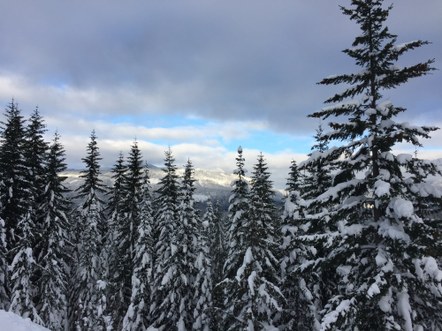 Introduction to Winter Trail Running