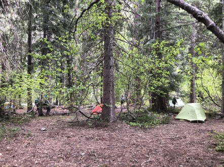 Shuko/Jenne B3 mentor zoom#1