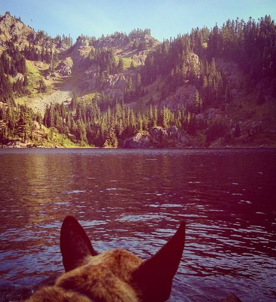 Trail Running Committee Meeting!