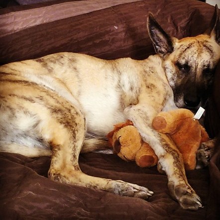 Trail Running Committee Meeting