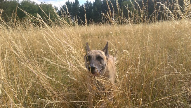 Trail Running Committee Meeting