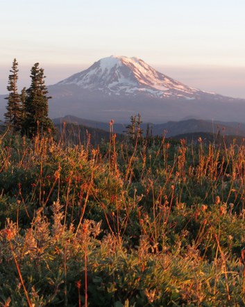 Trail Running Committee Meeting