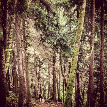 Trail Running Committee Meeting