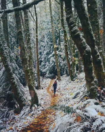 Trail Running Leader Seminar - Jan 30