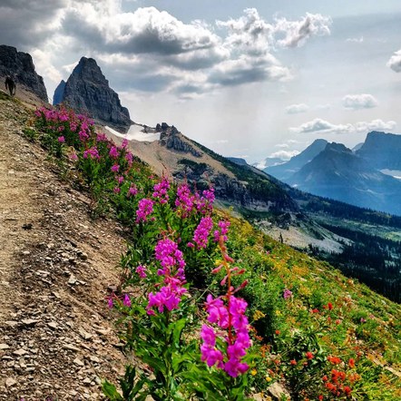 Trail Running Potluck and Celebration!!
