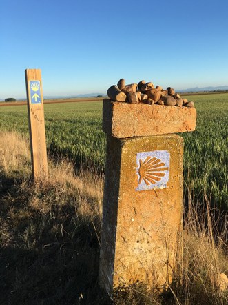 Walking the Wild:  Together on the Camino Frances