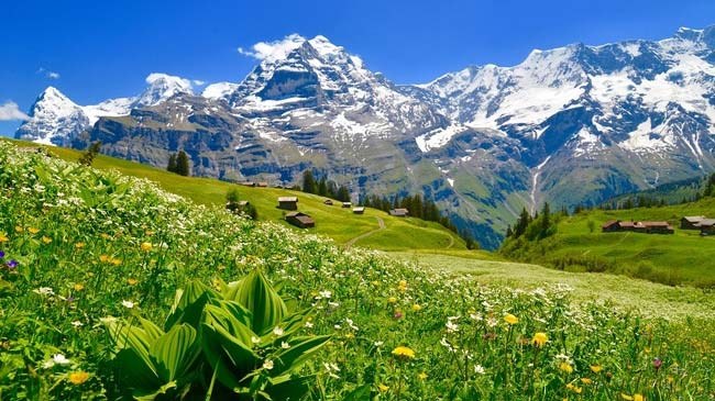 Walking the Wild:  Trek the Tour of the Jungfrau including the Eiger Trail, with Cheryl Talbert!
