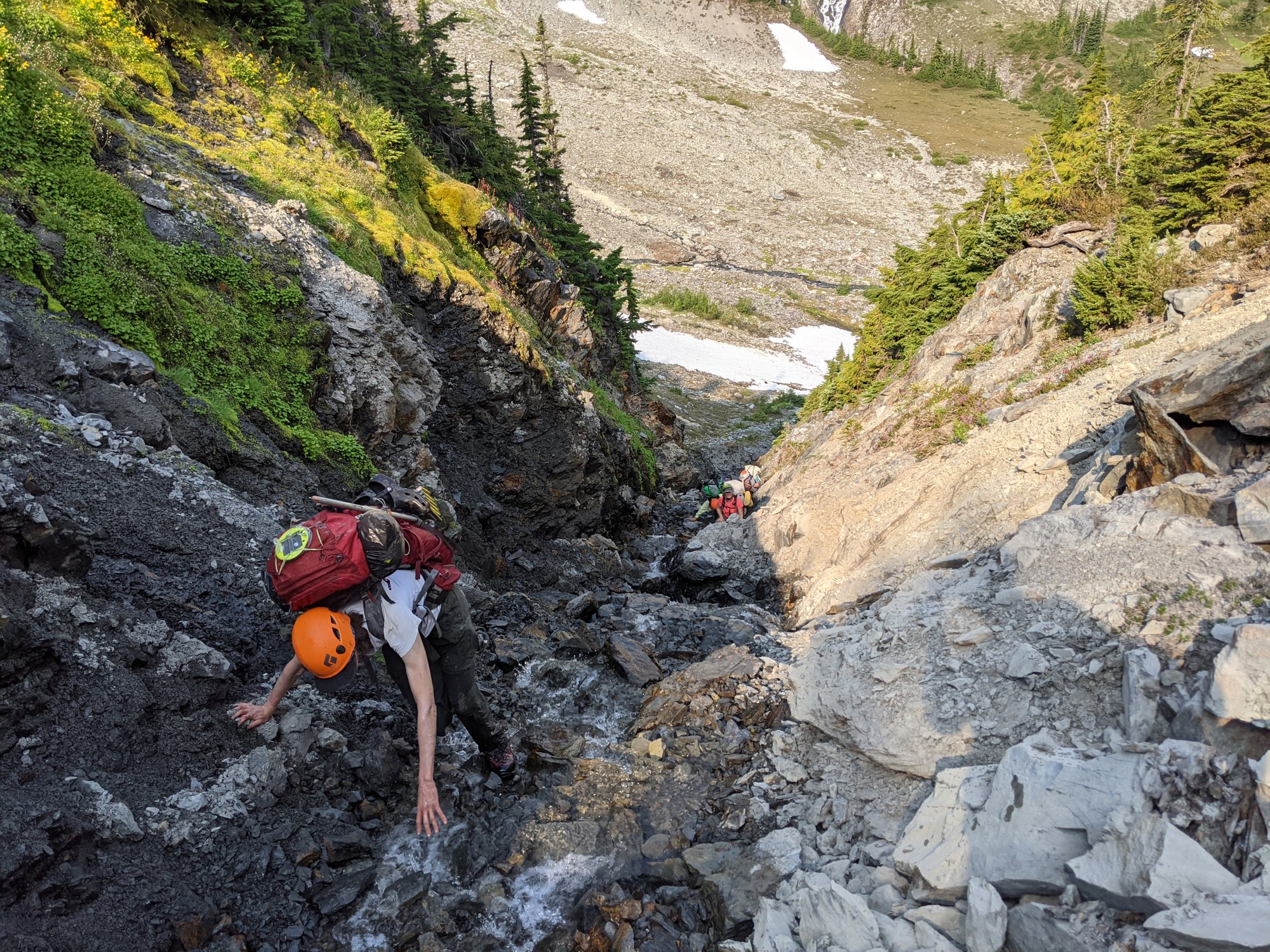Alpine Scrambling Course Kitsap Field Trip 1 Green Mountain Gold