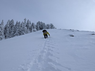 Kitsap Scramble Field Trip - Panorama Point
