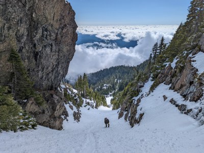 Kitsap Scramble FT #2 - Steep Snow Practice - Mount Ellinor (winter)