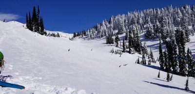 Activity 8 - Snow 1 Field Trip - Paradise Area (winter)