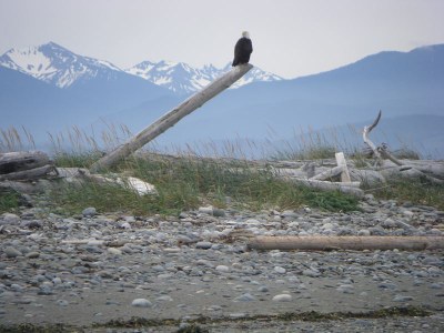 Kitsap Explorers Hike