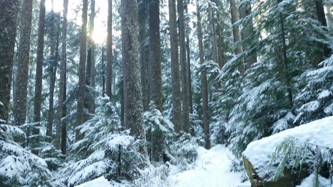 Kitsap Executive Committee (Excom) Quarterly Meeting