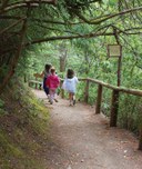 Kitsap Forest Adventure Camp Week 2 - 2026