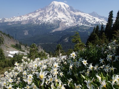Introduction to Alpine Scrambling Lecture