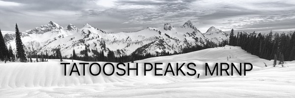 MtRainierSnowCamp2021Jan16-17-1163698-Edit.jpg MtRainierSnowCamp2021Jan16-17-1163698-Edit.jpg