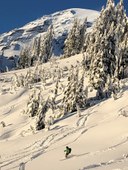 Olympia Backcountry Ski Committee