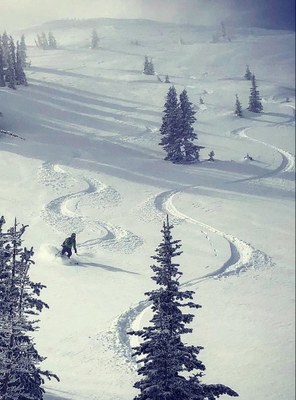 Introduction to Backcountry Ski/Snowboard Mini-series - Olympia - 2022